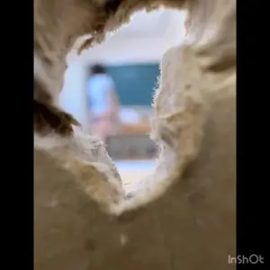 動画サムネイル3